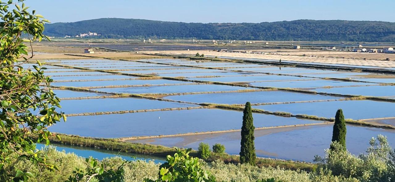 Apartment Salt Pans View Portoroz Bagian luar foto