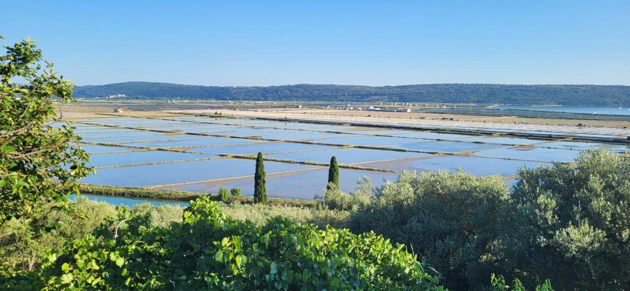 Apartment Salt Pans View Portoroz Bagian luar foto