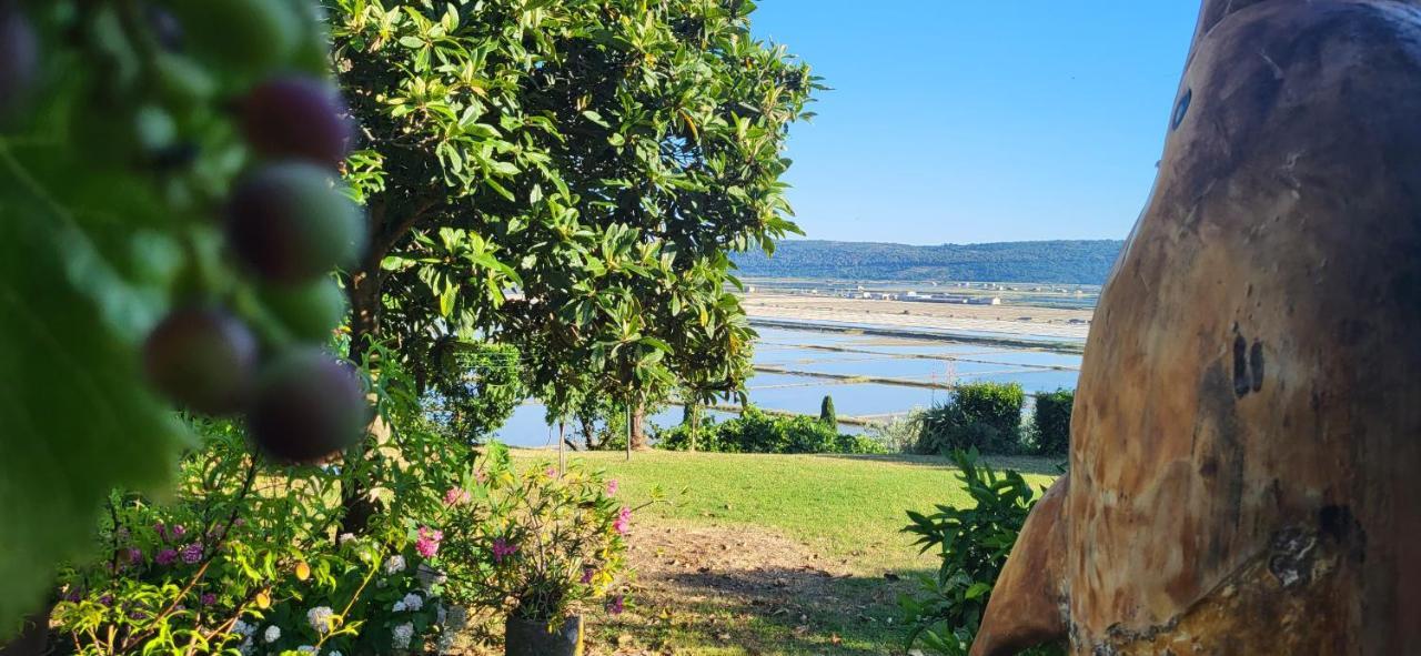 Apartment Salt Pans View Portoroz Bagian luar foto