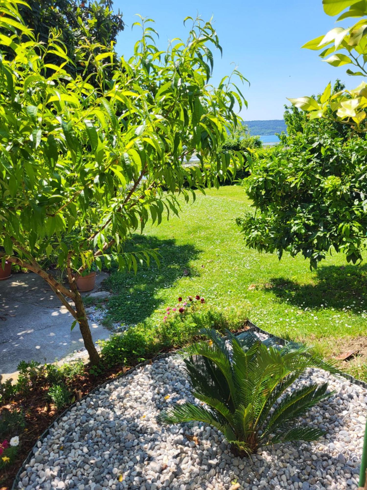 Apartment Salt Pans View Portoroz Bagian luar foto