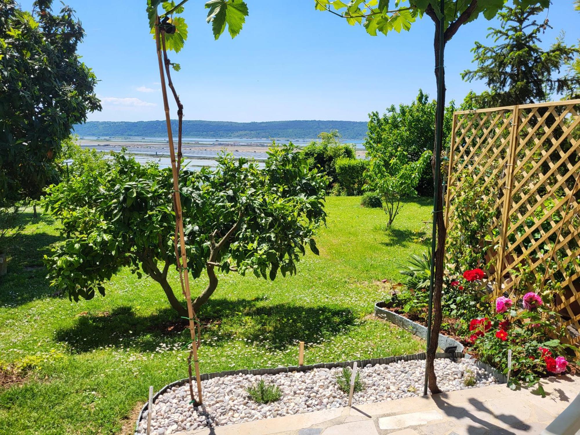 Apartment Salt Pans View Portoroz Bagian luar foto
