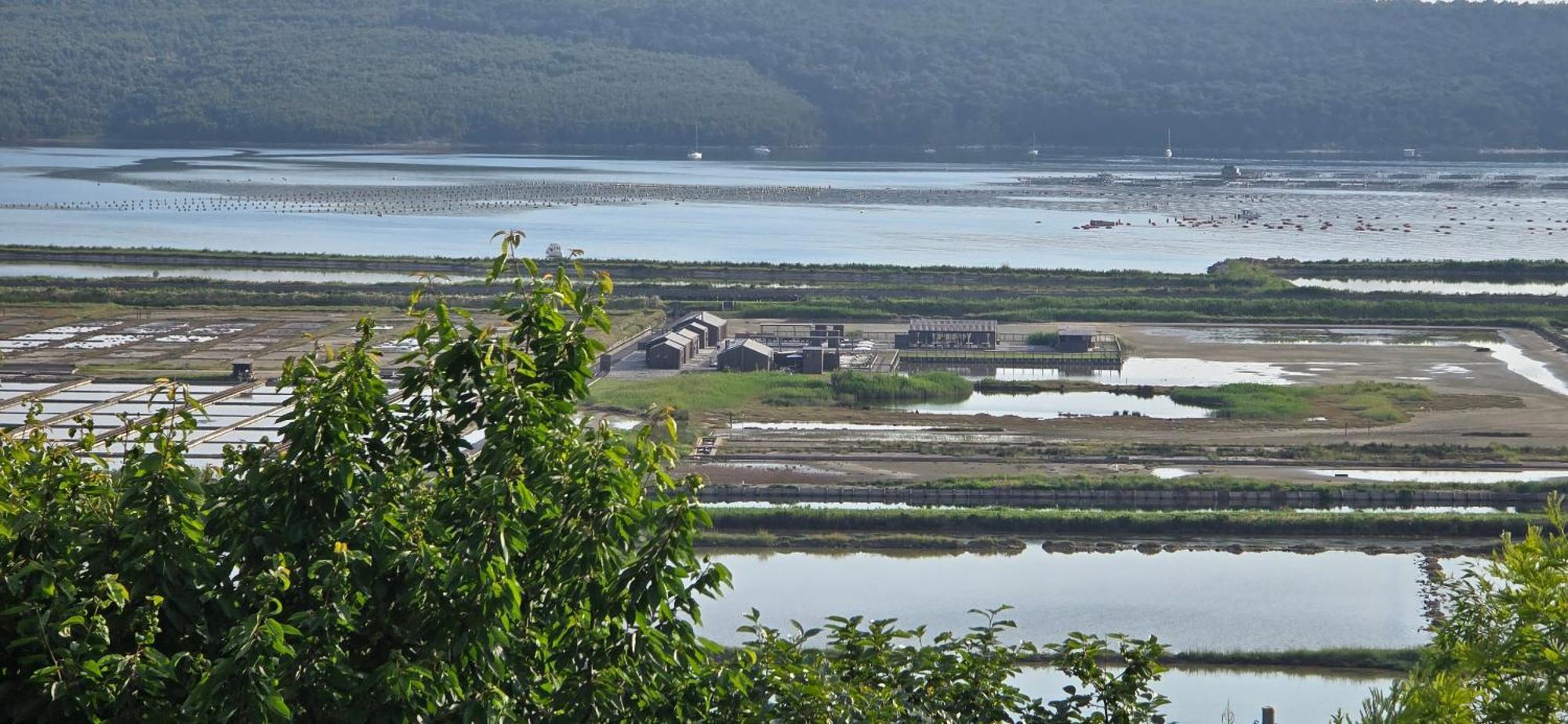 Apartment Salt Pans View Portoroz Bagian luar foto